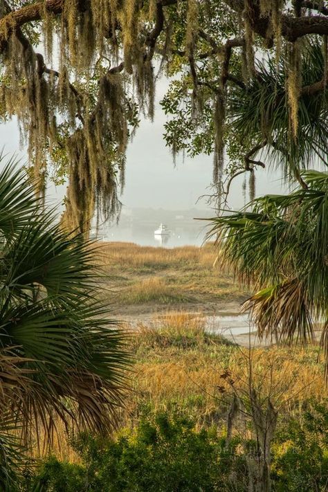 Obx Life, Southern Aesthetic, Country Photography, Southern Marsh, Sacred Places, Spring Aesthetic, Down South, Pretty Places, Pilgrimage