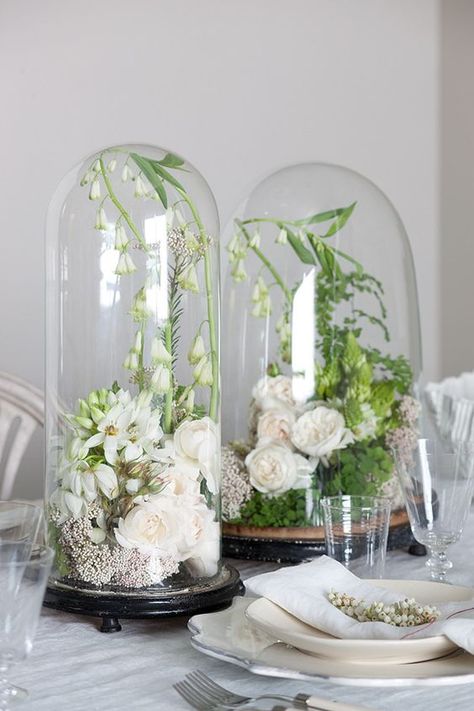 fresh blooms in glass bell jars wedding centerpiece / http://www.himisspuff.com/glass-cloche-bell-jar-wedding-ideas/5/ Cloche Ideas, Cloche Decor, Wedding Jars, Glass Bell Jar, Bell Jars, Spring Table Decor, Tafel Decor, Kiosk Design, Wedding Floral Centerpieces