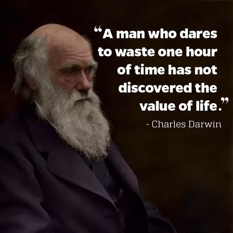 A little motivational quote from Charles Darwin: "A man who dares to waste one hour of time has not discovered the value of life." Charles Darwin Quotes, Value Of Life, Words To Live By Quotes, Science Quotes, Inspirational Quotes Posters, Artist Quotes, My Philosophy, Charles Darwin, Quotes By Famous People