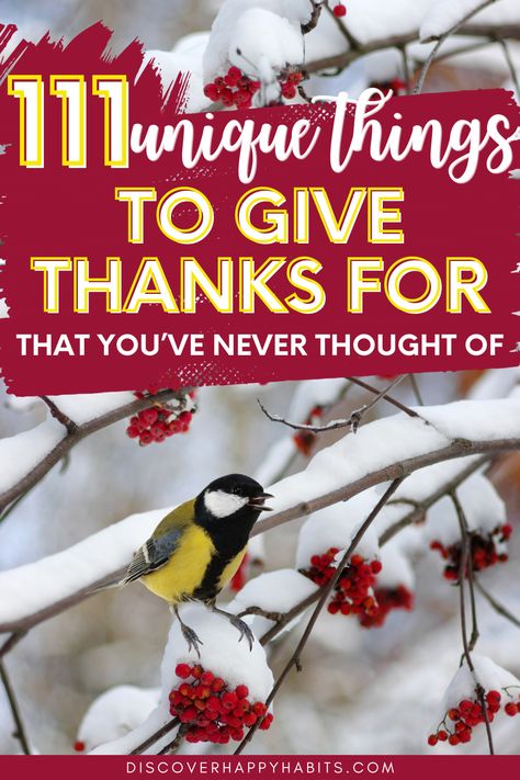 111 unique things to give thanks for that you've never thought of List Of Things To Be Thankful For, What I’m Thankful For, What Am I Thankful For, Things To Be Thankful For List Of, Thankful List Ideas, Things To Be Thankful For, Thankful List, Thankful For, Traffic Lights