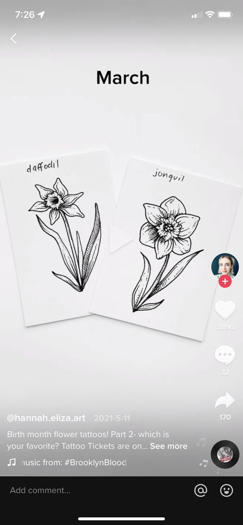 Jonquils Tattoo, Jonquil Flower Drawing, Daffodil Jonquil Tattoo, Daffodil And Jonquil Tattoo, Jonquil And Daffodil Flower Tattoo, Jonquil Tattoo, Jonquil Flower Tattoo, Pa Tattoo, Jonquil Flower