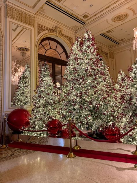 The Plaza Hotel Nyc Christmas, Eloise At Christmastime Aesthetic, Eloise Christmas Aesthetic, The Plaza Christmas, Plaza Hotel Christmas, Eloise At The Plaza Aesthetic, Eloise Christmas, Christmas At The Plaza, Church At Christmas