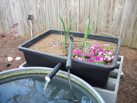 Bog filter build - Aquarium Advice - Aquarium Forum Community Pond Filter Diy, Bog Filter, Koi Pond Backyard, Pond Filter System, Fish Ponds Backyard, Small Backyard Ponds, Ponds For Small Gardens, Grey Water System, Fish Pond Gardens