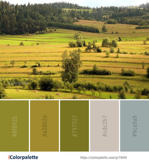 Color palette theme related to agriculture, Color Palettes from Images, ecosystem, field, grassland, hill, meadow, pasture, plain, rural area, tree, . Download color palette as Pdf, Adobe swatch and more. Farm Color Pallete, Landscape Architecture Color Palette, Meadow Color Palette, Agriculture Color Palette, Farm Color Palette, Tree Color Palette, Color Palette Theme, Bracelet Colours, Color Palette From Image