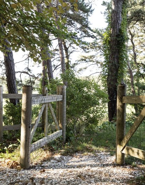 machado-silvetti-cape-cod-studio-garden-matthew-williams-dsc-7522-dsc-7528-e1476210738164 Split Rail Gate, Property Fence, City Backyard, Hardscape Backyard, Farm Property, Ranch Fencing, Architects Studio, Living Fence, Plant Wall Decor