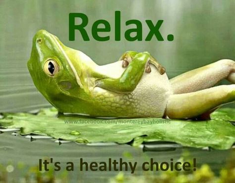 Relax. It's a healthy choice.  #relax #quote #healthy Relaxing Pictures, Relax Quotes, Massage Quotes, Massage Benefits, Funny Frogs, A Frog, Just Relax, Funny Animal Pictures, Massage Therapy