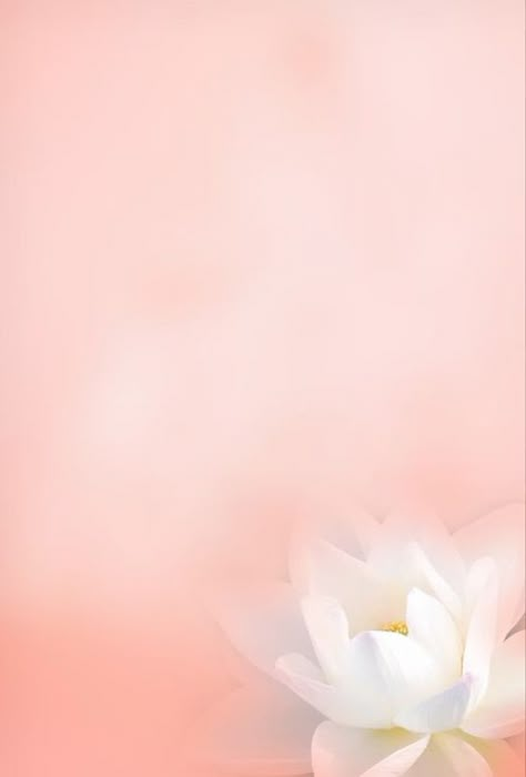 Image Zen, Whimsy Flowers, Pink Glitter Background, Dove Pictures, Colorful Borders Design, Lotus Flower Art, Phone Wallpaper Boho, Lotus Art, Flowers Photography Wallpaper