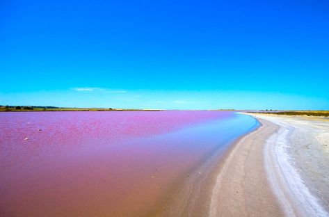 A Vivid World: Top 30 Most Colorful Places On Earth - LostWaldo Lake Retba Senegal, Lake Retba, Plitvice Lakes National Park, Pink Lake, Colorful Places, Plitvice Lakes, Desert Painting, Great Barrier Reef, Nature Reserve