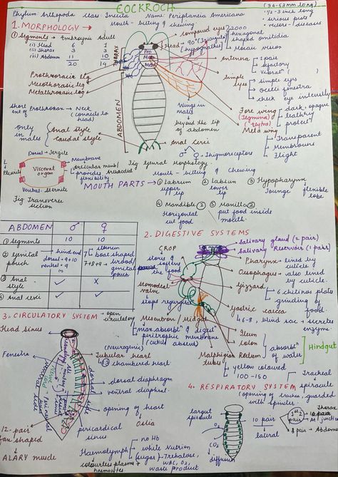 Neet Short Notes, Zoology Notes, Biochemistry Notes, Neet Notes, Bio Notes, Learn Biology, Physics Formulas, Short Notes, Study Biology