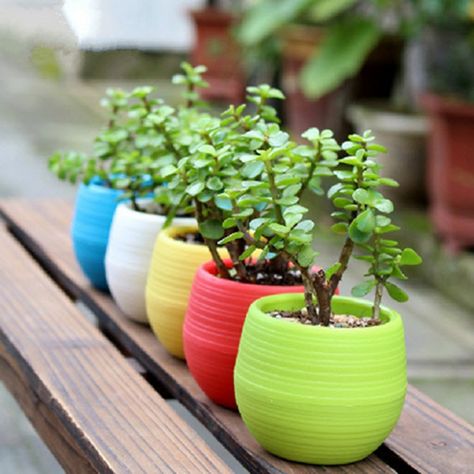 Small City Garden, Planter Garden, Fake Plants Decor, Indoor Flower Pots, Planting Pot, Flower Pot Garden, Plastic Flower Pots, Plastic Planters, Indoor Herb Garden