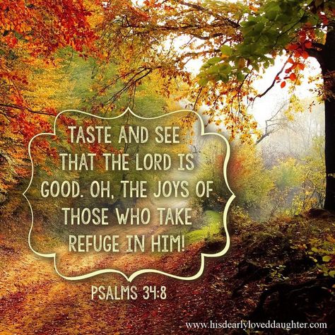 Taste and see that the Lord is good. Oh, the joys of those who take refuge in Him! Psalms 34:8  #Thanksgiving #Verses #BibleVerse #Scripture #truth #WordOfGod Thankful Heart, Taste And See, The Lord Is Good, Ayat Alkitab, Joy Of The Lord, God Can, Biblical Quotes, Faith Inspiration, Spiritual Inspiration