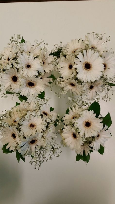 White Gerbera daisies White Gerbera, Gerbera Daisies, Flower Guide, Gerbera Daisy, Current Mood, Floral Designs, Dandelion, Vision Board, Floral Design