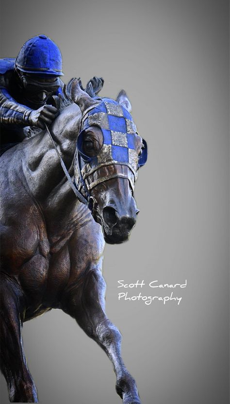 Horse Riding Wallpaper, Secretariat Wallpaper, Horse Racing Drawing, Horse Racing Wallpaper, Race Horse Drawing, Throughbred Horses, Secretariat Horse, Wallpaper Animals, Race Horse Painting