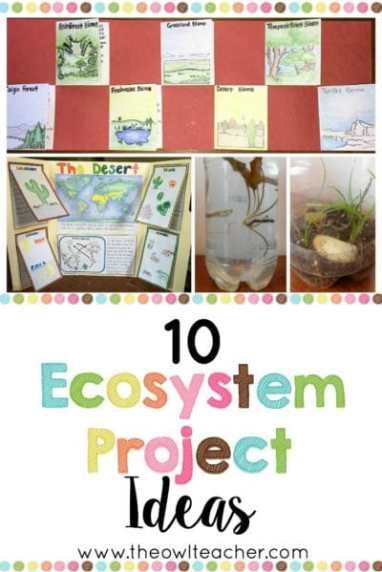 Engage your students with these 10 ecosystem project ideas for your elementary science class and grab a FREEBIE to get started! Ecosystem Project Ideas, Teaching Ecosystems, Ecosystem Project, Ecosystem Activities, Biomes Project, Ecology Projects, Ecosystems Projects, Science Computer, Science Board