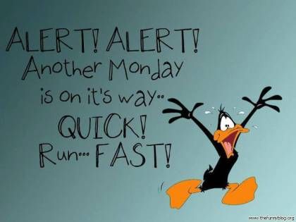 Daffy Duck Quotes, Duck Quotes, Happy Monday Quotes, Over It Quotes, I Hate Mondays, Hate Mondays, Monday Humor, Weekday Quotes, Weekend Quotes