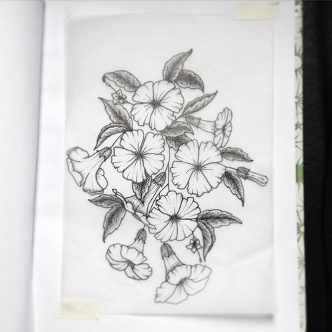 Moonflower Drawing, Moon Flower Drawing, Fashion Design Tattoo, Moonflower Tattoo, Tattoo Thoughts, Tattoo Moon, Best Tattoo Ideas, Drawing Tutorials For Beginners, Vine Tattoos