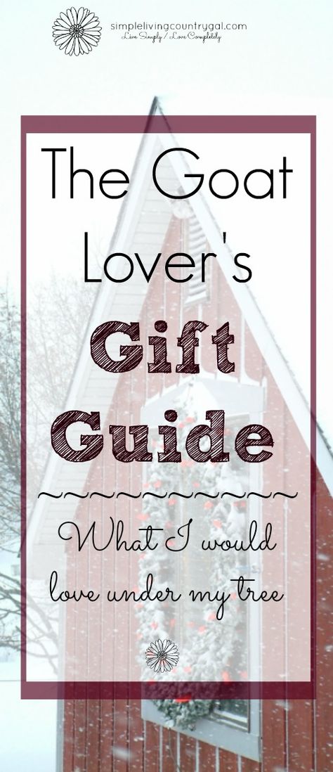 If you have a goat lover on your list this year, I am here to help! Fun and useful ideas for the goat lover! Types Of Goats, Gift Ideas For Anyone, Homestead Animals, Feeding Goats, Raising Farm Animals, Fun Gift Ideas, Goat Care, Goat Gifts, Modern Homesteading