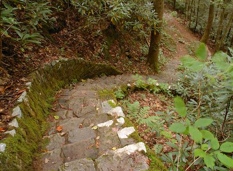 Damascus Virginia, Virginia Creeper Trail, Virginia Mountains, Sally Ride, Trail Bike, Virginia Creeper, Bike Trail, Best Bike, River Trail