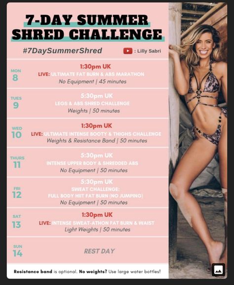 Lilly Sabri Workout Plan, Intense Workout Plan, Lilly Sabri, Fat Burning Abs, Thigh Challenge, Plan Workout, Free Workout Plans, Shredded Body, Pilates Workout Routine