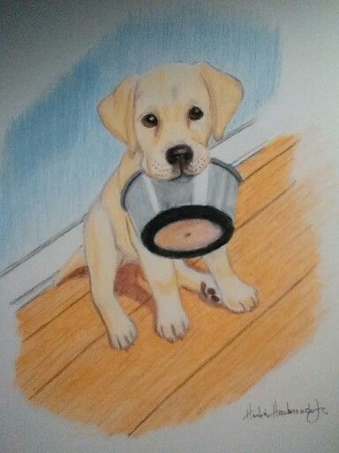 Labrador Puppy Drawing, Lab Puppy Drawing, Labrador Sketch Easy, Labrador Sketch, Labrador Puppy Sketch, Labrador Drawing Simple, Labrador Drawing, Labrador Drawing Cartoon, Labrador Retriever Sketch