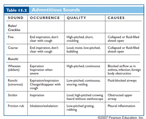 Adventitious breath sounds Fnp Student, Lvn School, Medicine And Surgery, Breath Sounds, Nursing Assessment, Nurse Things, Infographic Ideas, Nurse Study, Nurse Study Notes