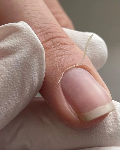 One of my favourite steps in every manicure… Using the e-file to gently remove dead tissue from the nail plate makes the process smoother, helps your BIAB or gel to adhere to the nail plate for longer and helps keep those cuticles healthy! 💅 #CuticleCare #NailTech #EfileManicure #HealthyNails #NailTechLife #NailCareRoutine #ManicureGoals #PerfectCuticles #NailPlateHealth #LuxuryManicure Cuticle Care, Nail Care Routine, Nail Plate, Healthy Nails, Nail Tech, The Process, My Favourite, Manicure, Nails