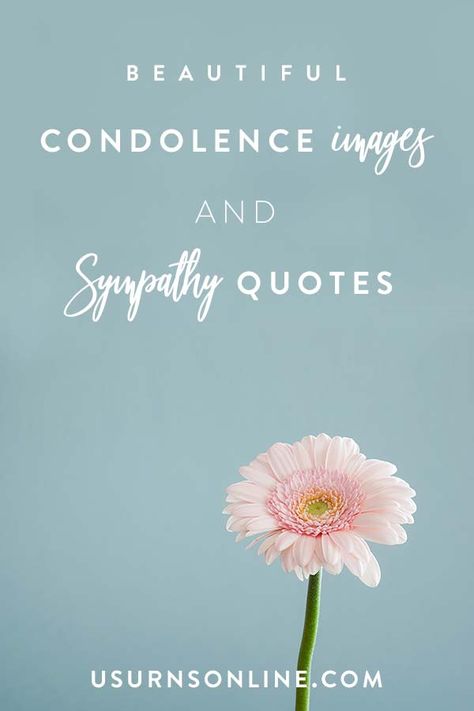 100+ Sympathy Quotes & Messages to Share » Urns | Online In Sympathy Quotes, Deep Sympathy Quotes, Thinking Of You During Your Loss, Condolences Quotes For A Friend Strength, Condolences Quotes Families Prayer, With Deepest Sympathy Condolences, Sending My Condolences Quotes, Sympathy Quotes Condolences For A Friend, Deepest Condolences Quotes