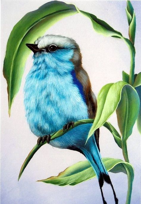 40 Color Pencil Drawings To Having You Cooing With Joy - Bored Art Color Pencil Drawings, Colored Pencil Drawing, Coloured Pencils, Color Pencil Art, Color Pencil Drawing, Bird Drawings, Color Pencil, Drawing Tutorials, Colorful Drawings