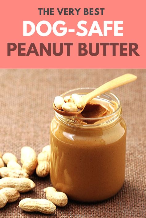 We'll talk about how to find dog-safe peanut butter and what ingredients to look out for! #dogs #dogsafe #petsafe #peanutbutter #dogfood #dognutrition #dogtreats Homemade Peanut Butter For Dogs, Soft Dog Treats Homemade Peanut Butter, Homemade Dog Peanut Butter, Pill Pockets For Dogs Homemade No Peanut Butter, Dog Biscuit Recipes Peanut Butter, Dog Peanut Butter, Dog Popsicles, Pup Treats, Peanut Butter For Dogs