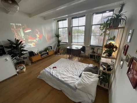 Studio Apartment With Dog, Studio With Sofa Bed, Clothes Organization Studio Apartment, Industrial Style Studio Apartment, Studio Bed Ideas, Studio Apartment Inspo Interior Design, Large Window Apartment, Studio Appartement Layout, Apartment Large Windows