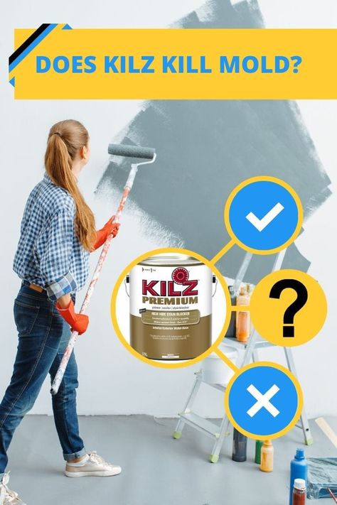 Does KILZ kill mold? Many of our readers have been asking. Our pros will guide us on when and when not to use KILZ mold killing paint and primer. via @howtohometips Kilz Paint, Kilz Primer, Kill Mold, Mold Prevention, Mold In Bathroom, Medical Procedures, Mildew Stains, Mold Remediation, Bathroom Ceiling