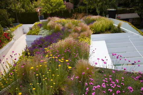 Green Roof Planting, Green Roof Garden, Urban Garden Design, French Country Garden Decor, Contemporary Garden Design, Country Garden Decor, Contemporary Planters, Living Roofs, French Country Garden