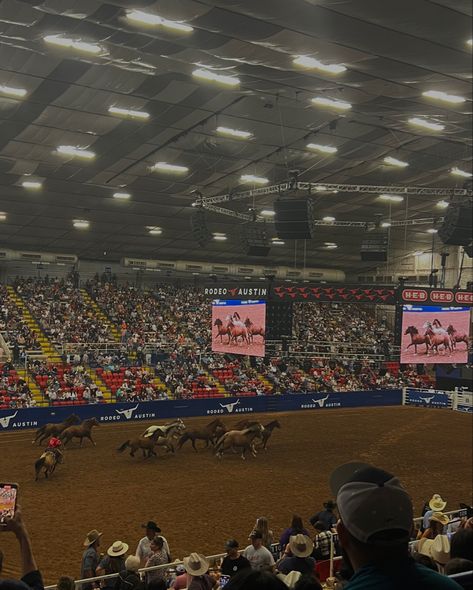 Texas Rodeo, Texas Trip, American Road, Rodeo Life, Cowboy Up, American Road Trip, Country Western, Austin Texas, Country Life