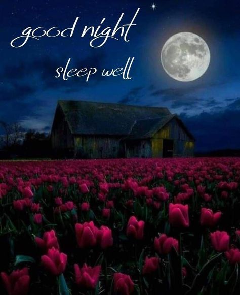 Grandmas Follies | Good Night World. Have the Sweetest of Dreams! #grandmasfollies #laugh #grandma #giggles | Instagram Happy Greetings, Good Night Sleep Well, Goodnight Post, Night World, Good Night World, Evening Quotes, Night Greetings, Greetings Quotes, Good Night Greetings