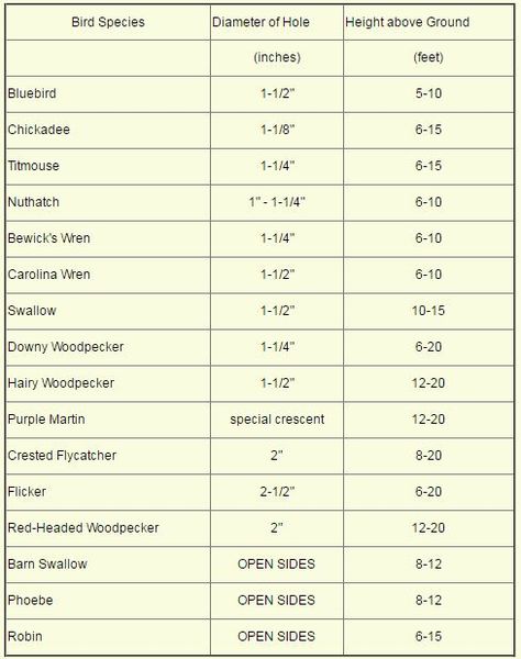 chart for hole diameter for birdhouses and height from ground for placement Types Of Birds, Homemade Bird Houses, House Kits, Bat House, Bird Houses Ideas Diy, Bird House Feeder, Bird House Plans, Gourds Birdhouse, Bird House Kits