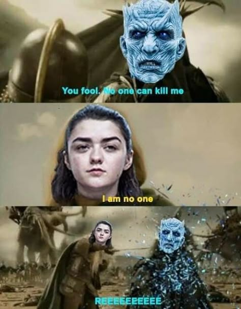 Game Of Thrones Meme, Game Of Thrones Episodes, Game Of Thrones Poster, Game Of Thrones Cast, Got Game Of Thrones, Game Of Thrones Funny, Got Memes, Gra O Tron, Games Of Thrones