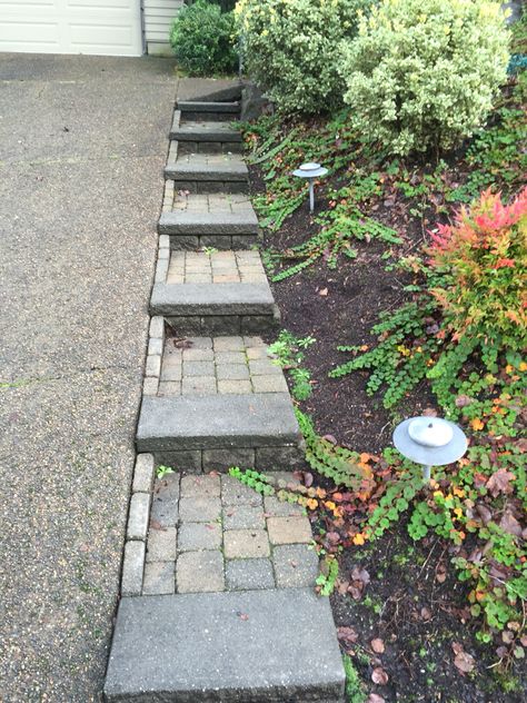 Steps Next To Driveway, Steep Driveway Ideas, Steep Driveway Solutions, Driveway Stairs, Pnw House, Steep Driveway, Cove House, Raised House, Front Stairs