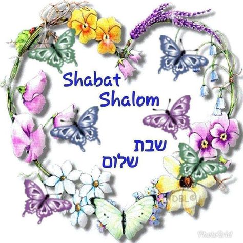 Good Shabbos Greetings, Shabat Shalom Image, Good Evening Friends Images, Bon Sabbat, Hebrew Greetings, Passover Greetings, Happy Sabbath Quotes, Jewish Greetings, Jewish Holiday Cards