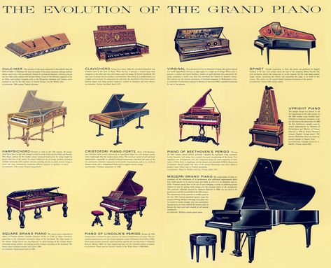 1800s Pianos Piano History, Group Piano Lessons, Piano Pedagogy, Learn Violin, Piano Studio, Piano Songs, Piano Teaching, Grand Piano, Learn Piano