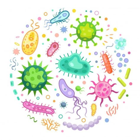 Pathogen microorganisms set | Free Vector #Freepik #freevector #cartoon #animal #health #human Microorganisms Microbiology, Bacteria Cartoon, Bacteria Shapes, Element Signs, School Book Covers, Science Background, Medical Laboratory Science, Biology Art, Medical Background