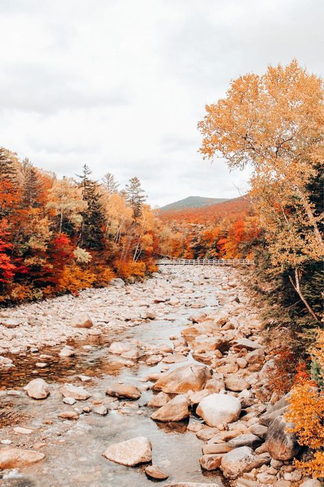 Travel ideas for where to go Leaf Peeping #LeafPeeping #NewEngland #Travel New England Fall Aesthetic, Usa Road Trip Map, Vermont Trip, New England Road Trip, England Trip, Fall Road Trip, 2024 Goals, Road Trip Routes, Leaf Peeping