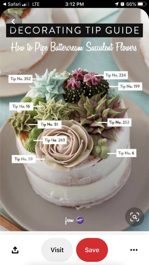 Piped Flowers, Tårta Design, Piping Buttercream, Succulent Cupcakes, Succulent Flowers, Succulent Cake, Cactus Cake, Cupcake Tutorial, Cake Piping