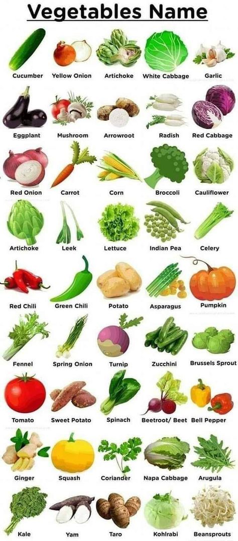 Type Of Vegetables, Vegetables Chart For Kids, Vegetable Chart For Kids, Vegetable For Kids, Pictures Of Fruits And Vegetables, Name Of Fruits, Vegetable Names In English, Vegetable Wallpaper, Vegetable Vocabulary