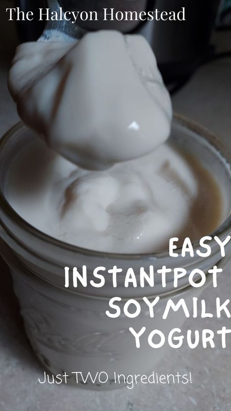 Missing yogurt in your diet as a vegan? Try making your own super easy vegan soymilk yogurt made in the Instant Pot with probiotics. Vegan Yogurt Recipe, Instant Pot Yogurt Recipe, Soy Yogurt, Plant Diet, Instant Pot Yogurt, Probiotic Yogurt, Vegan Biscuits, Vegan Yogurt, Yogurt Recipes