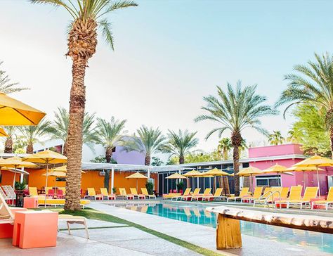 Our Travel Guide to Scottsdale, Arizona - Inspired By This Scottsdale Hotels, Old Town Scottsdale, Spring Getaway, Shady Tree, Happy Trails, Honeymoon Travel, Scottsdale Arizona, Outdoor Venues, Vacation Spots