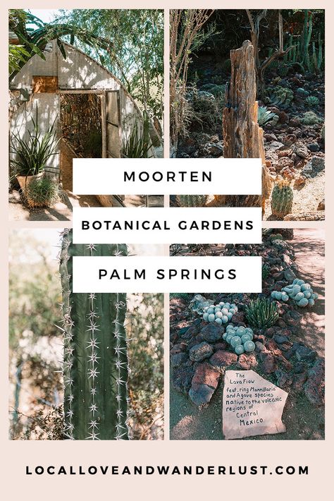 Moorten Botanical Garden & Cactarium » Local Love & Wanderlust Joshua Tree National Park, Desert Plants, Joshua Tree, Botanical Garden, For Lovers, Palm Springs, Botanical Gardens, Cleveland, Travel Blog