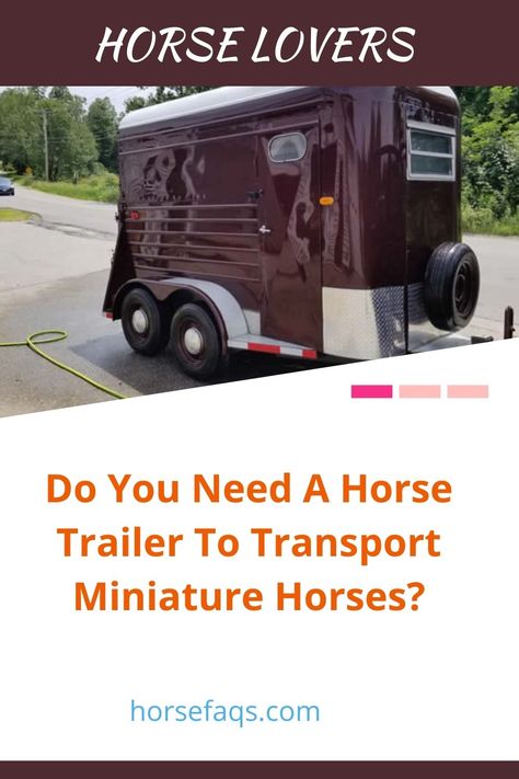 Converted Minivan, Mini Horse Cart, Miniature Horse Stalls, Miniature Horse Trailer, Horses In Trailer, Horse Food, Race Photography, American Miniature Horse, Mini Horses