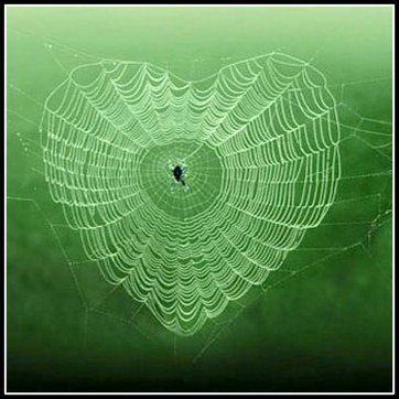 Heart In Nature, Matka Natura, I Love Heart, Airbrush Art, Beating Heart, Happy Heart, Photo Heart, Heart Art, Photo Design