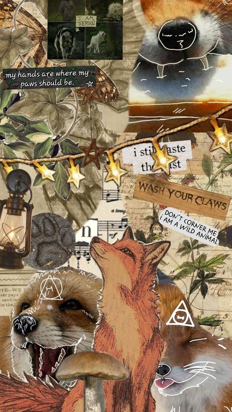 #fox #theriotype #therian #vintage Therian Moodboard, Fox Wallpaper Aesthetic Dark, Fox Therian Aesthetic, Therian Wallpaper, Fox Moodboard, Fox Wallpaper, Fox Therian Wallpaper, Fox Therian Pfp, Fox Therian