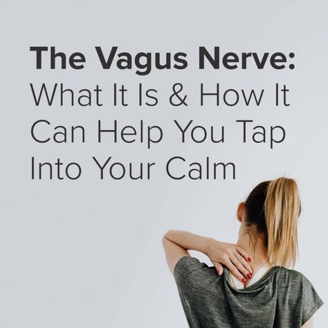 The Vagus Nerve: What It Is and How It Can Help You Tap Into Your Calm Vagus Nerve Stimulator, Nervus Vagus, Polyvagal Theory, The Vagus Nerve, Peripheral Nervous System, Meditation App, Nerve Health, Parasympathetic Nervous System, Vagus Nerve